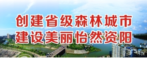 WWW日逼cn创建省级森林城市 建设美丽怡然资阳